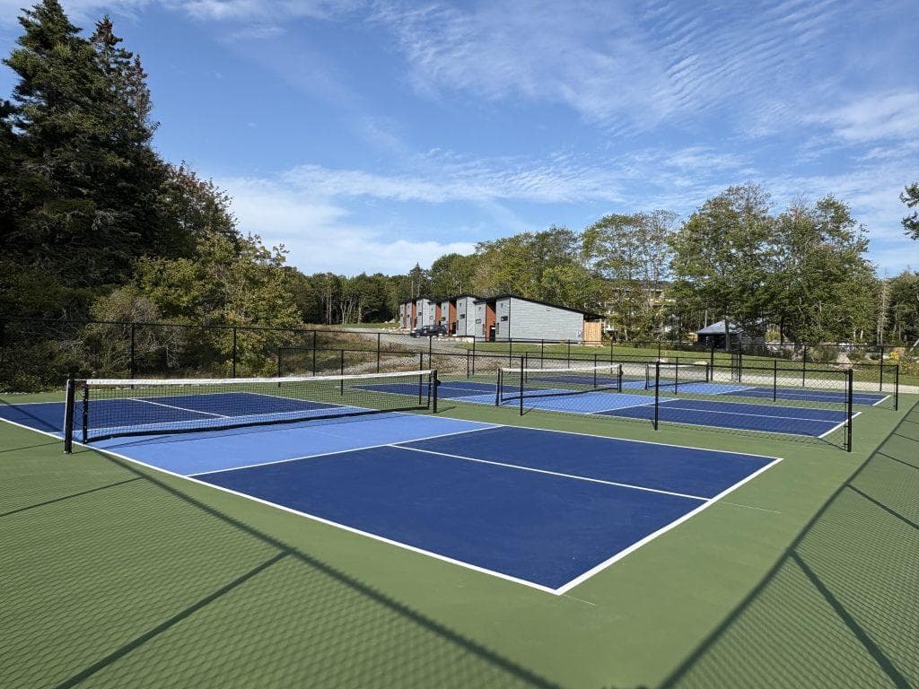 Aki's Badminton Court
